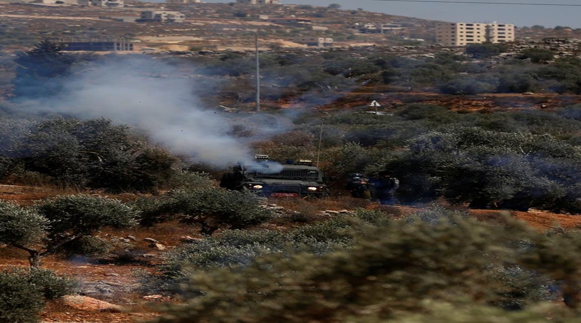 صورة أرشيفية